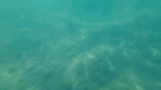 Песчаное дно южного моря🌴🌊