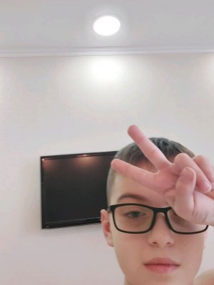 дом из пледа