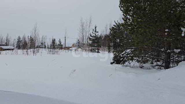 11820828 Горизот