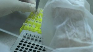 В Воронежской области резко возросла заболеваемость коронавирусом