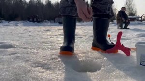 Поимка форели