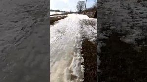 12-03-2026. трансляция вдоль лебяжьего озера