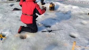 Спортзона.Поимки