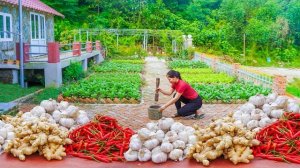 Делаю пестициды из имбиря, чеснока, перца Чили, для опрыскивания огорода. Серия 48. Ли Фук Ви
