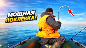 Сезон открыт 2026! И мой первый Лосось в жизни!