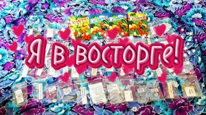 Неожиданное пополнение коллекции семян томатов и перцев.