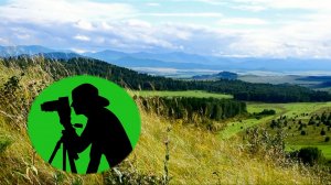 Расслабляющие звуки природы для отдыха, крепкого сна и медитации / Пение птиц и кузнечики