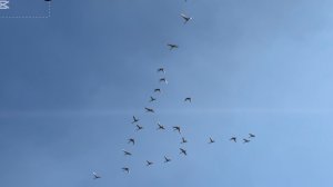 ❤️Поговорим? Не повторяйте за блогерами🙏