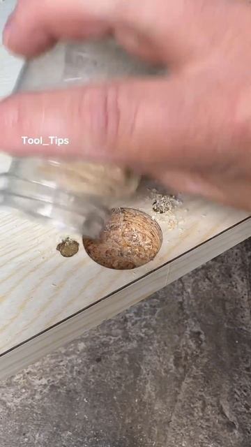 Каким образом установить петлю в ДСП, если саморезы не фиксируются?