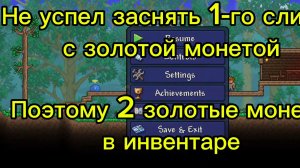 Спидран за 1 минуту 5 золотых монет с 3-х слизней в Террарии на старте | Суходрищик Terraria