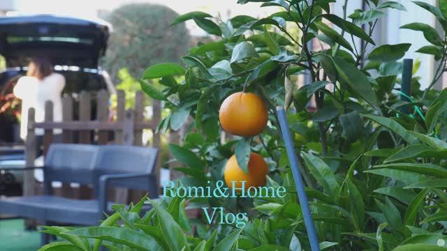 Romi&HomeПриближается весна маленькие ростки, цитрусовые и ароматный десерт