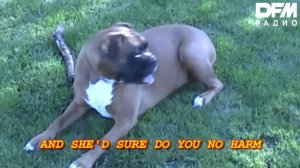 Sticky Key/Julia Milows — This Is The Life