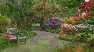 Катя, Катенька, Катюша