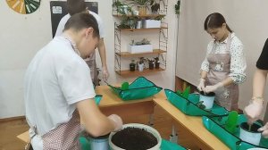 Вахрамеева, камышлов