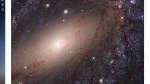 новая поделка