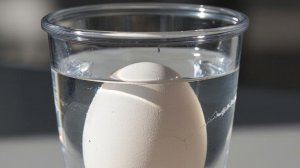 Эксперимент. Плавающее яйцо в воде.