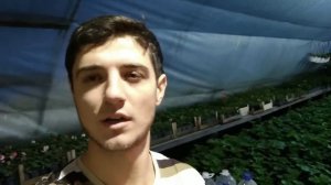 НОВЫЙ РАССАДНИК - подсветка, подогрев, цветы Посев майских цветов.