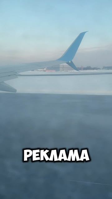 Каждые три месяца я улетаю не просто так!