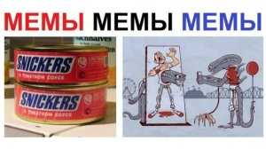 100 МЕМОВ. Сникерс в томатном соусе и парк ЧУЖИХ !!!
