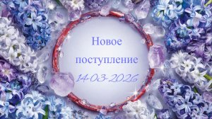 Новое поступление 14-03-2026