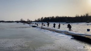 Ежедневный запуск форели