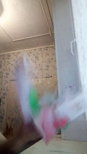 ну познакомьтесь с чефунь