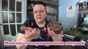 Основные моменты выращивания петунии