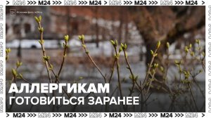Врачи заявили, что лекарства от аллергии нужно принимать до начала сезона цветения - Москва 24
