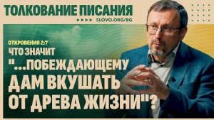 Что значит «...побеждающему дам вкушать от древа жизни»? | "Библия говорит" Алексей Коломийцев
