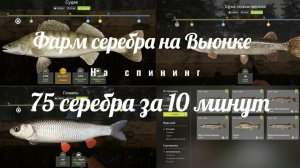 Точка для фарма судака и щуки на Вьюнке Русская Рыбалка 4