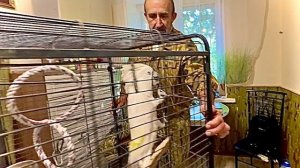 ЭТО УЖАС! От нового попугая СБЕГАЮТ  ВСЕ, даже кот Басик, он просто вынес всем мозг!