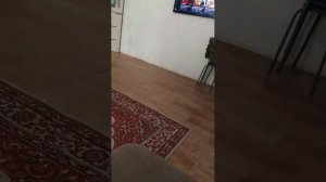 просто стрим