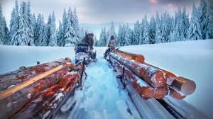 ТАёжные приключения. Везём новый дом в глушь таёжного леса. СНЕГОХОДЫ НА ПРЕДЕЛЕ