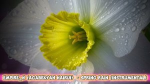 Empire_N (Agabekyan Nairui) - Spring rain (instrumental), 2026 / весенний дождь