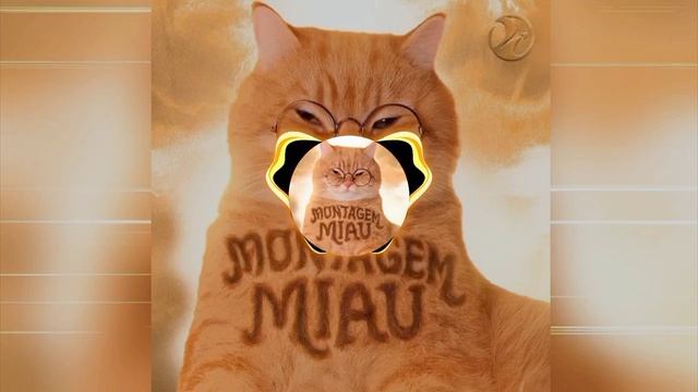 MONTAGEM MIAU SLOWED