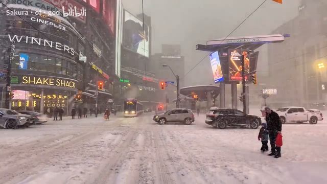 Торонто Канада