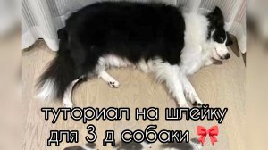 туториал на шлейку для 3 д собаки 🎀