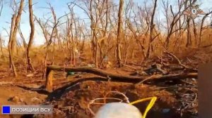 💥☠️33 мсп громит позиции ВСУ в районе Торецкого