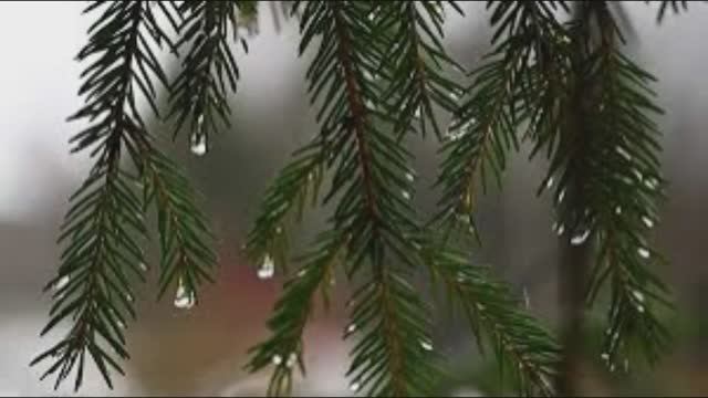 13 марта - Василий Капельник. Традиции дня. Народные приметы