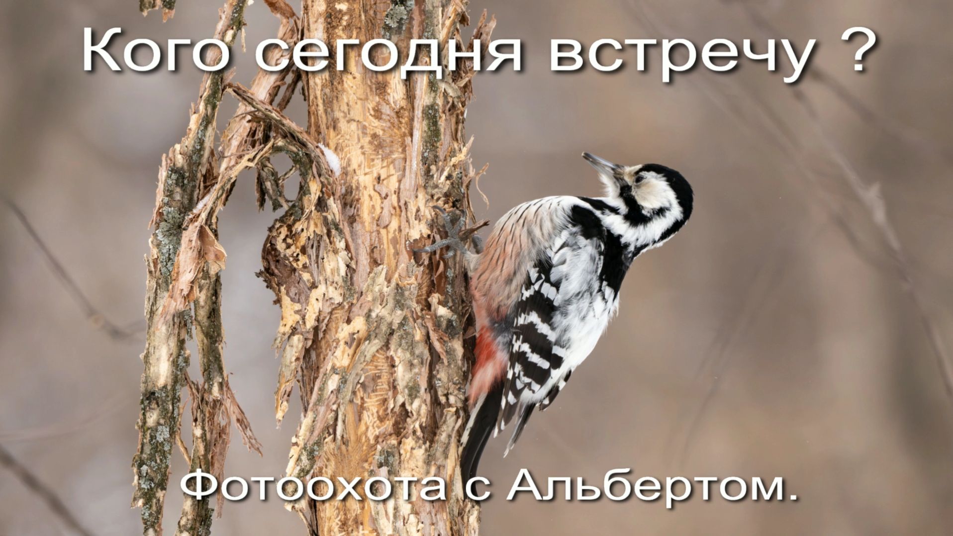 Фотоохота с Альбертом. Кого сегодня встречу ?