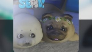 просто танцуем