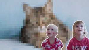 Играем в угадай животное. Играй и угадывай с нами😌 пиши, каких еще животных можно сделать!