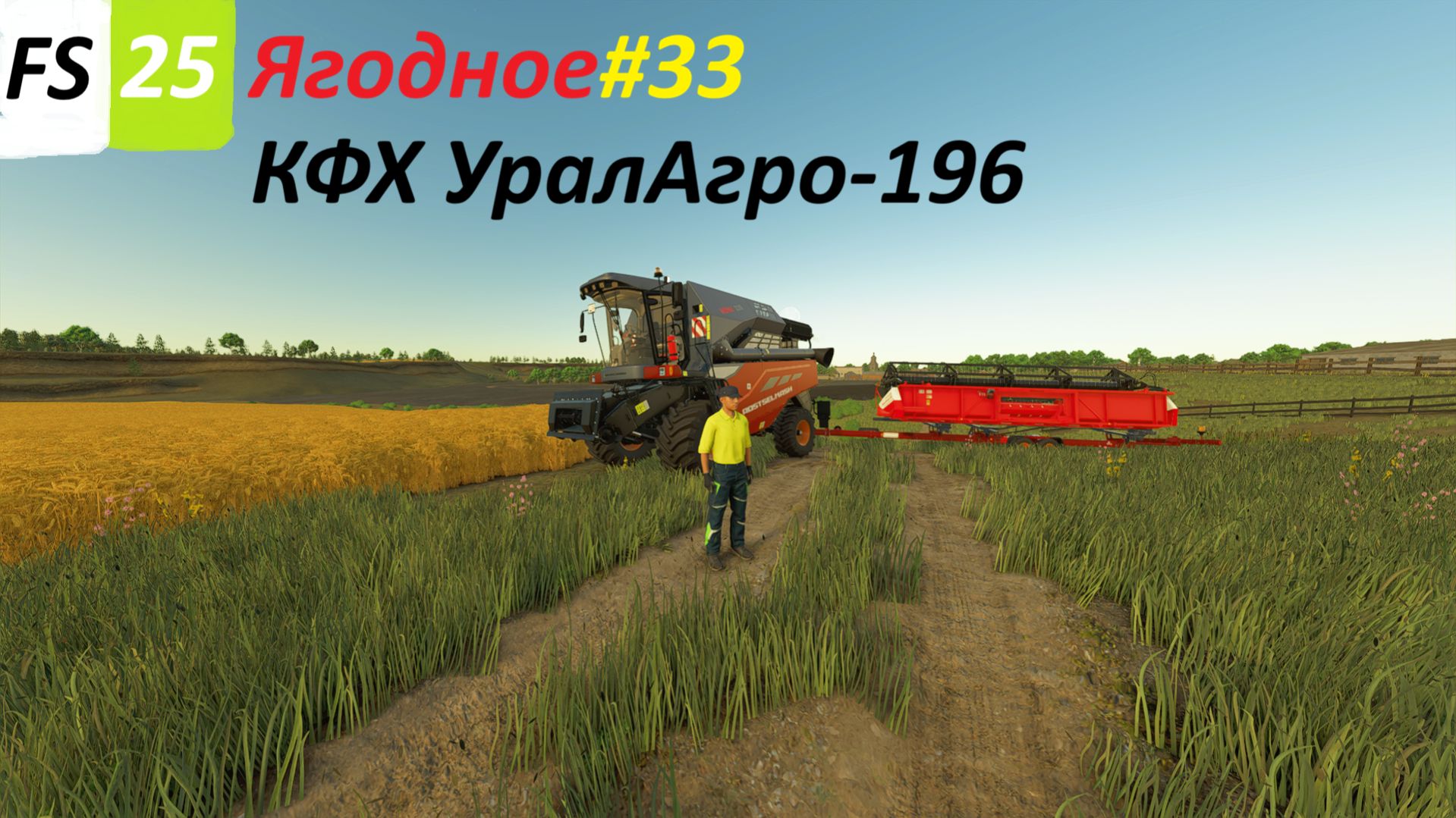 Farming Simulator 25 Ягодное Начало уборки ячменя