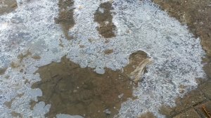 Новый персонаж! Заходите в опис