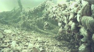 1000011371.mp4Волга гл.2м.12.03.2026г.