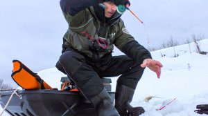 КОГДА НЕ КЛЮЁТ на реке, ДОСТАЮ ПРОСТУЮ СНАСТЬ И НАЧИНАЕТ КЛЕВАТЬ. Рыбалка зимой в 2026