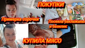 ПРИМЕРКА СОРОЧКИ. КУПИЛА МЯСО. ПОСЕЯЛА БАКЛАЖАНЫ И БАЗИЛИК