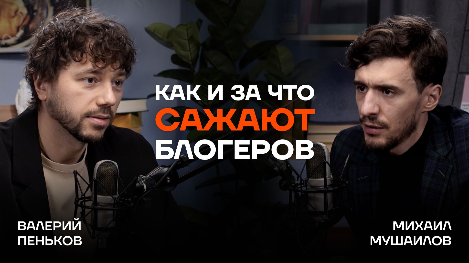 ПОЧЕМУ САЖАЮТ БЛОГЕРОВ? Адвокат МИТРОШИНОЙ о судах, системе и делах: Блиновская, Портнягин, Чекалина