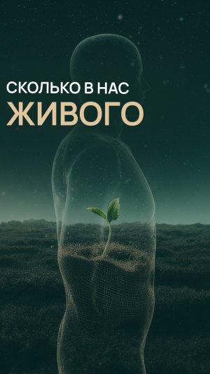 Сколько в нас живого