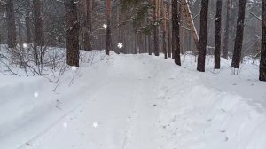 У нас сегодня буранчик🌪️🌨️